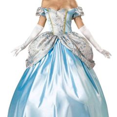 Classic Cinderella Costume