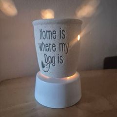 scentsy warmer