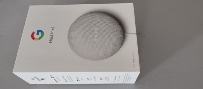 Google Nest Mini Working perfectly