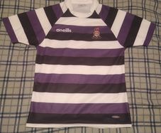 Terenure College RFC jersey