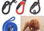 Nylon Slip On Training Lead & Combined Collar (S-M)