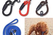 Nylon Slip On Training Lead &amp; Combined Collar (S-M)