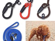 main image for ad Nylon Slip On Training Lead &amp; Combined Collar (S-M)