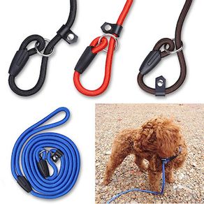 Nylon Slip On Training Lead & Combined Collar (S-M)