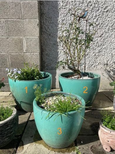 Large/Medium Glazed Earthenware Egg Flower Pot- 3 available
