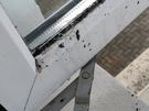 Cleaning / Disinfection / High Standard Image 4