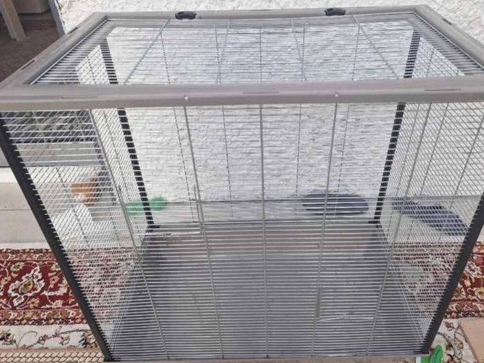 cage bird or other animal