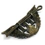 World War II French Forces Of The Interior Resistance Badge Image 5