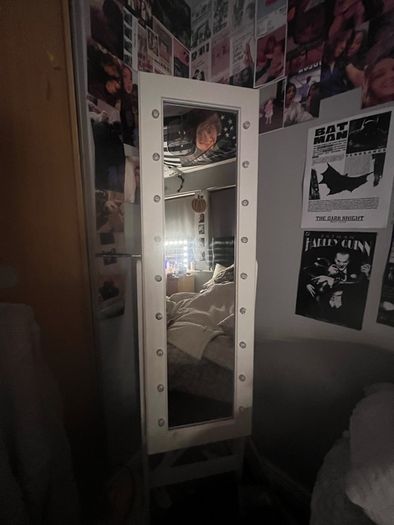 LED vanity mirror