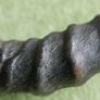 Antique Black Buck Horns 1800's Rare Horns Length 22" Image 9