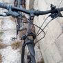 Trek Image 5