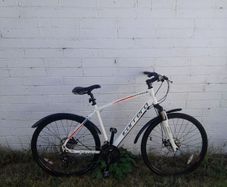 adults carrera hybrid bike