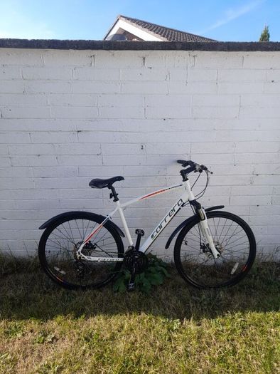 adults carrera hybrid bike