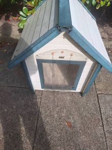 Dogs Kennel