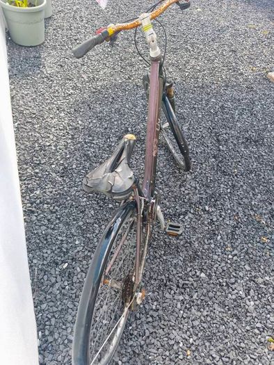 Giant LIV ladies bike