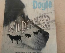 Roddy Doyle's wilderness