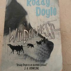Roddy Doyle's wilderness