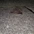 gre6754