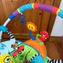 Baby Einstein Neighborhood Friends Activity Jumper / Jumperoo Image 6
