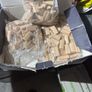 Festool dominoes 10 x 50 3 unopened bags Image 2
