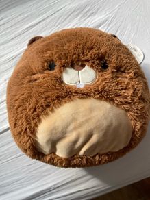Beaver Squishmallow Medium