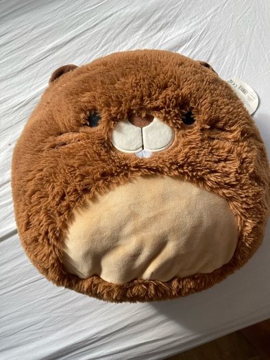 Beaver Squishmallow Medium