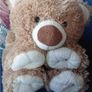 American Bear / Teddy Bear Holder / Soft Teddy Bear Image 5