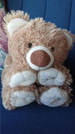 American Bear / Teddy Bear Holder / Soft Teddy Bear