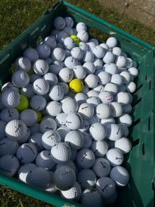 40 Srixon Golf Balls