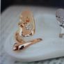 New Crystal Dragonfly Flower Nail Ring Image 2