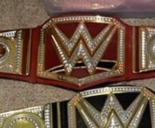 5 wwe belts