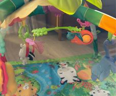 fisher price baby gym