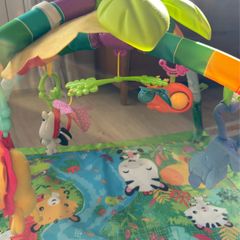 fisher price baby gym