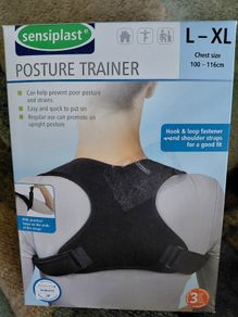 Posture trainer