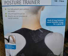 Posture trainer