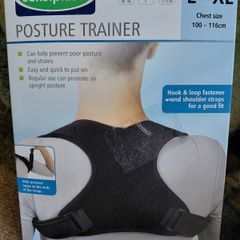 Posture trainer