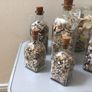 Sea shells in bottles Image 8