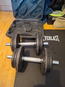8kg dumbbell set