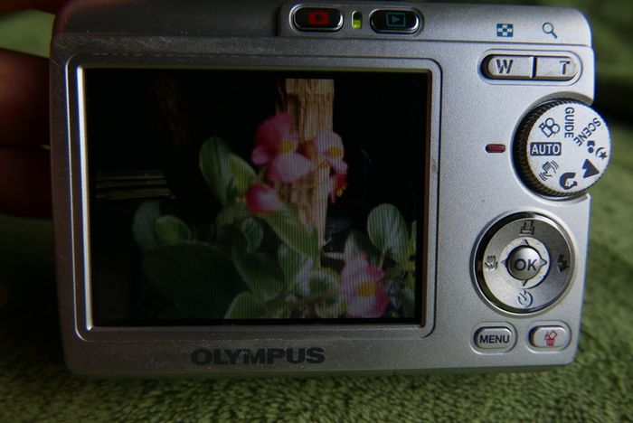 OLYMPUS C505 Digital Camera 6,0MP , Card ,runs on AA batteries Tested