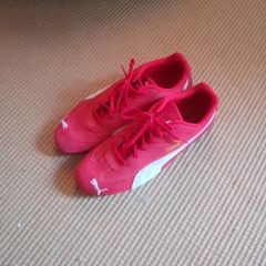 Puma speedcats