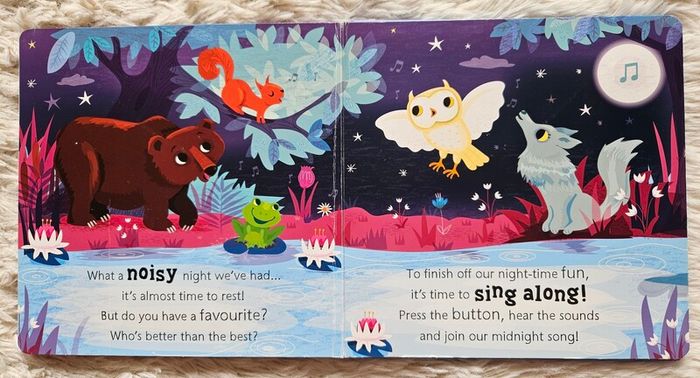 Owl Says Hoot - A Noisy Touch-and-Feel Night Book