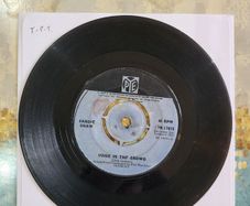 Sandie Shaw Monsieur Dupont 1969 Pye Records 7 inch