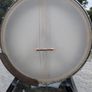 Tenor Banjo - Gold Tone IT17 Image 5