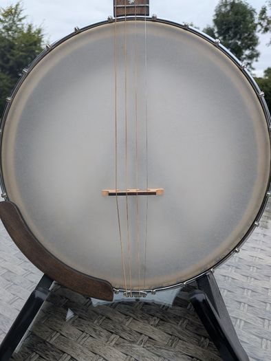 Tenor Banjo - Gold Tone IT17
