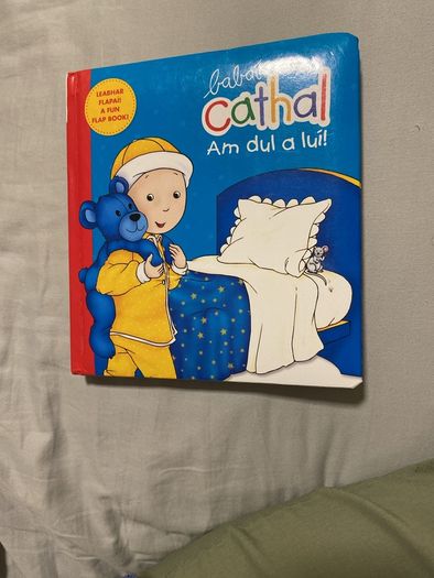 Irish language children's book