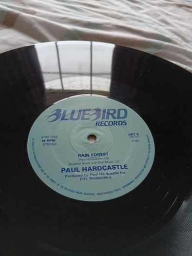 Rain Forest  12" Vinyl Single Paul Hardcastle