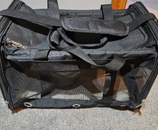 Pet carrier