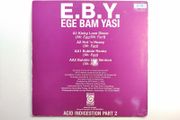 Ege Bam Yasi - Acid Indigestion Part 2 - Groove Kissing - Mid 90s ACID House Dublin CLASSIC!