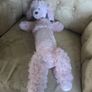 Poodle soft toy Image 4