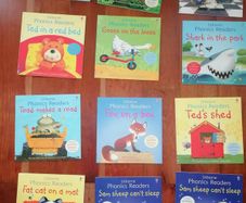 Phonics readers , perfect for learners or reluctant readers.